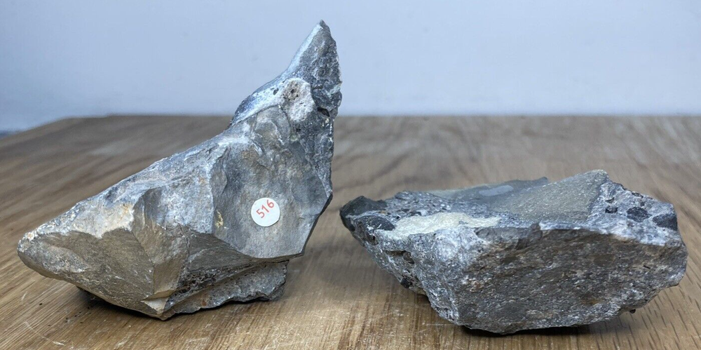 Fossil Specimens, Set of 2 Rhaetic Bone Bed Sections, Suffolk, 86mm
