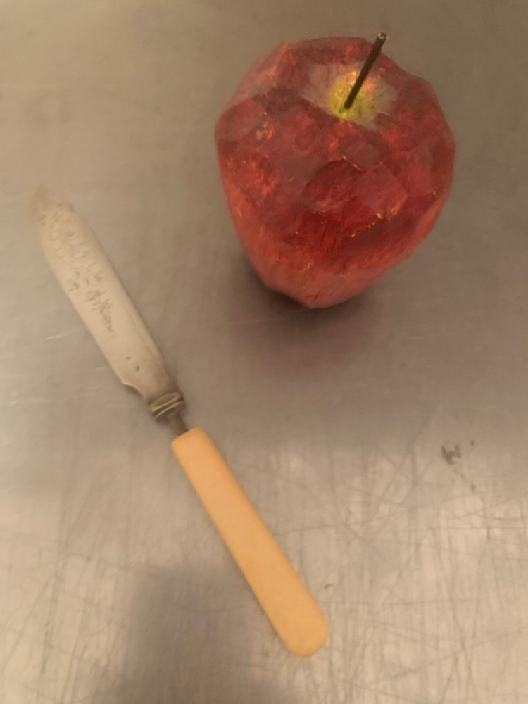 Antique Celluloid Handled Silver Plated Butter Knife - Ax