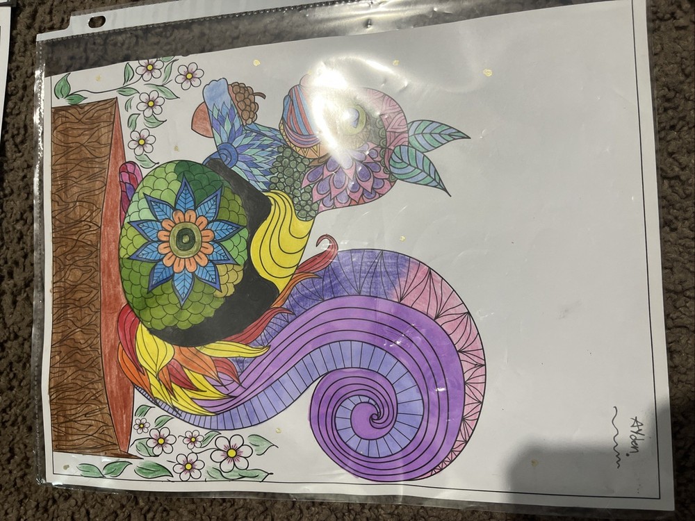 Exotic Squirrel