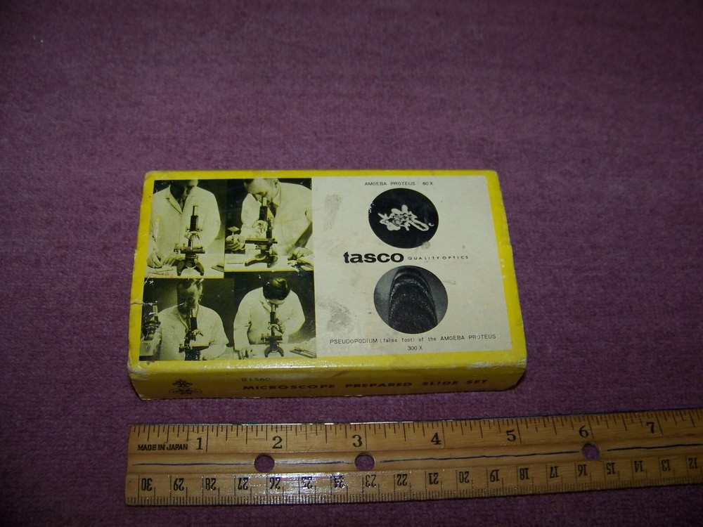 Vintage Microscope Slides Tasco Microscope Prepared Slide Set "Pollen & Spore"