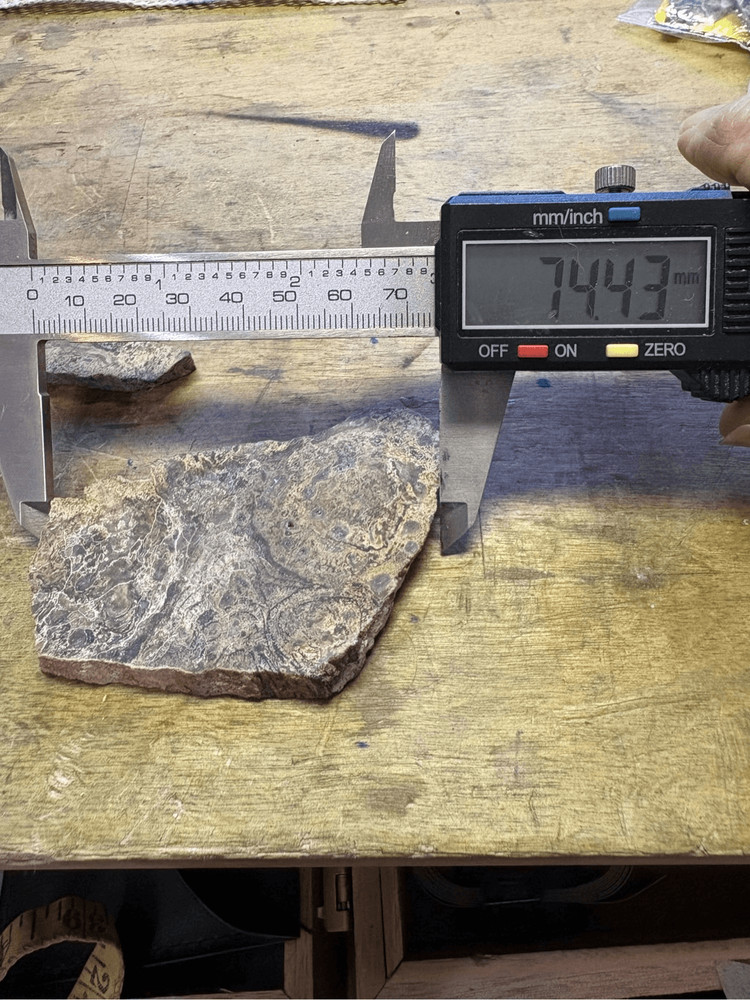 Petrified Wood Slabs (2)