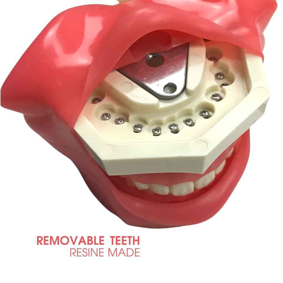 Dental Simulator Manikin Phantom Head Model Training Model Installing on Table