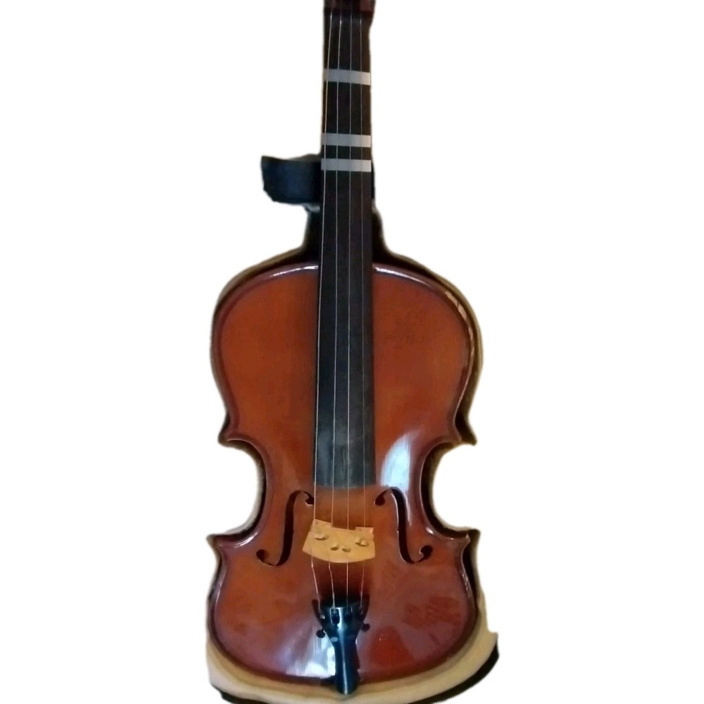 Mendini Beginners Violin cecilic / Beginner Kit Case, Bow,Rosen Size 4/4