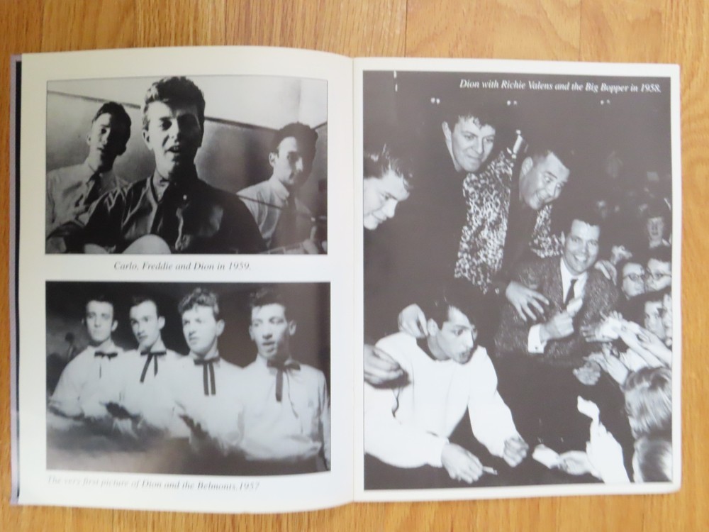1993 DION Francis DiMucci Concert Tour Program "Runaround Sue" "Ruby Baby"