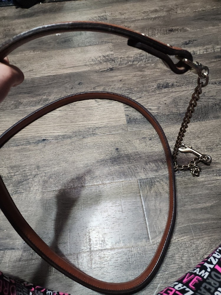 Stallion Chain Lead