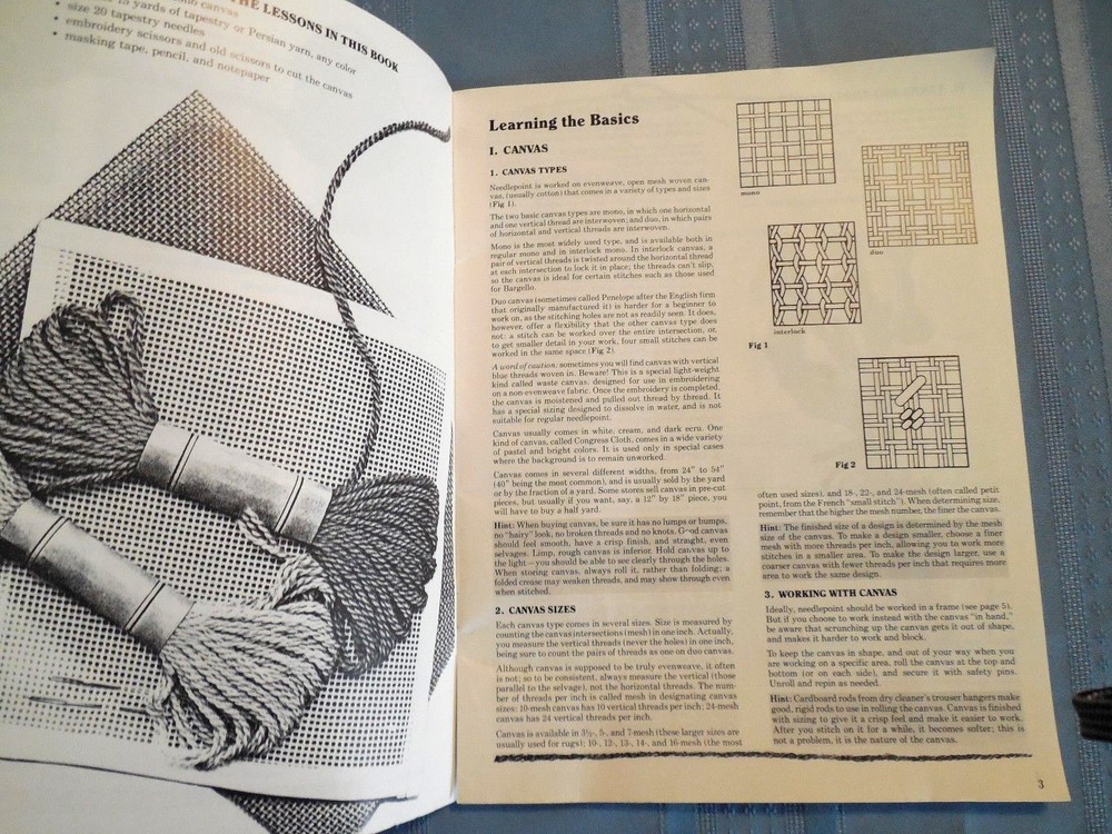 American School of Needlework "First Steps in Needlepoint" a Beginner's Guide