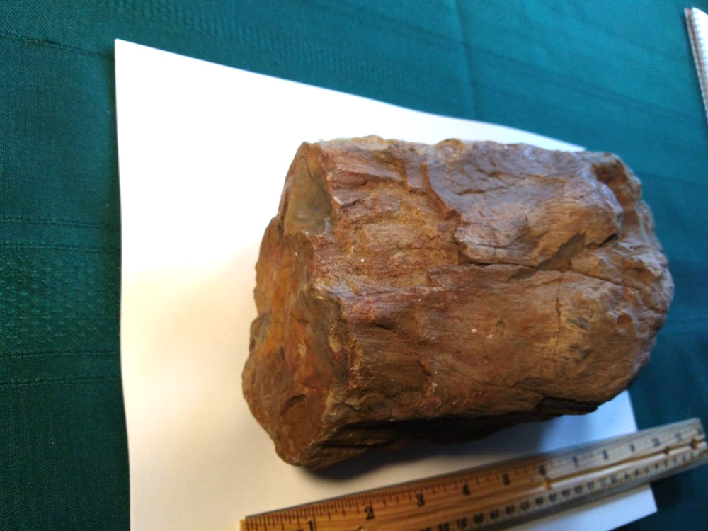 Petrified Wood Rough- Over 7-1/2 lbs.