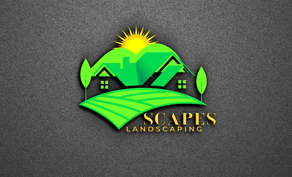 professional logo designer timeless seller
