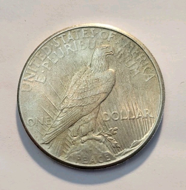 1925 Silver Peace Dollar