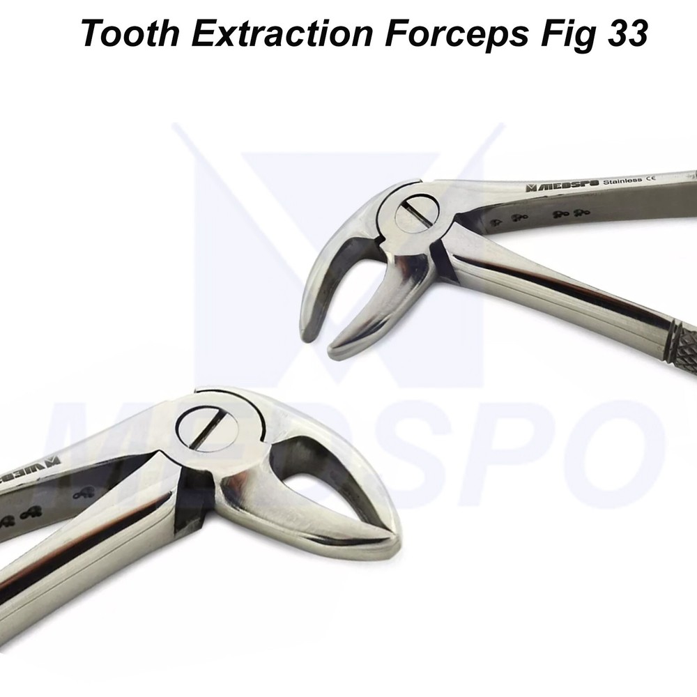 Dental Extraction Forceps Fig 33 Extract Lower Roots Tooth Extracting Instrument