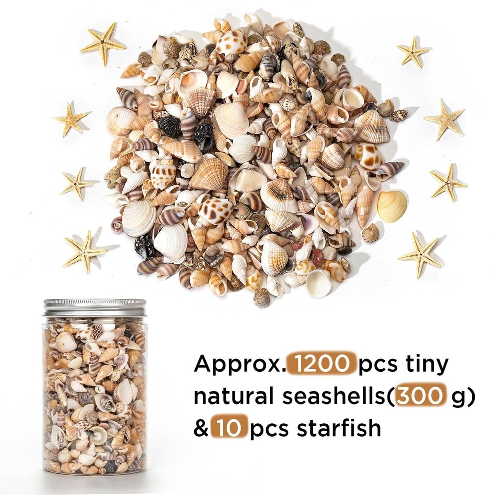 1200 PCS Tiny Sea Shells-Small Starfish-Mixed Ocean Beach Spiral Seashells