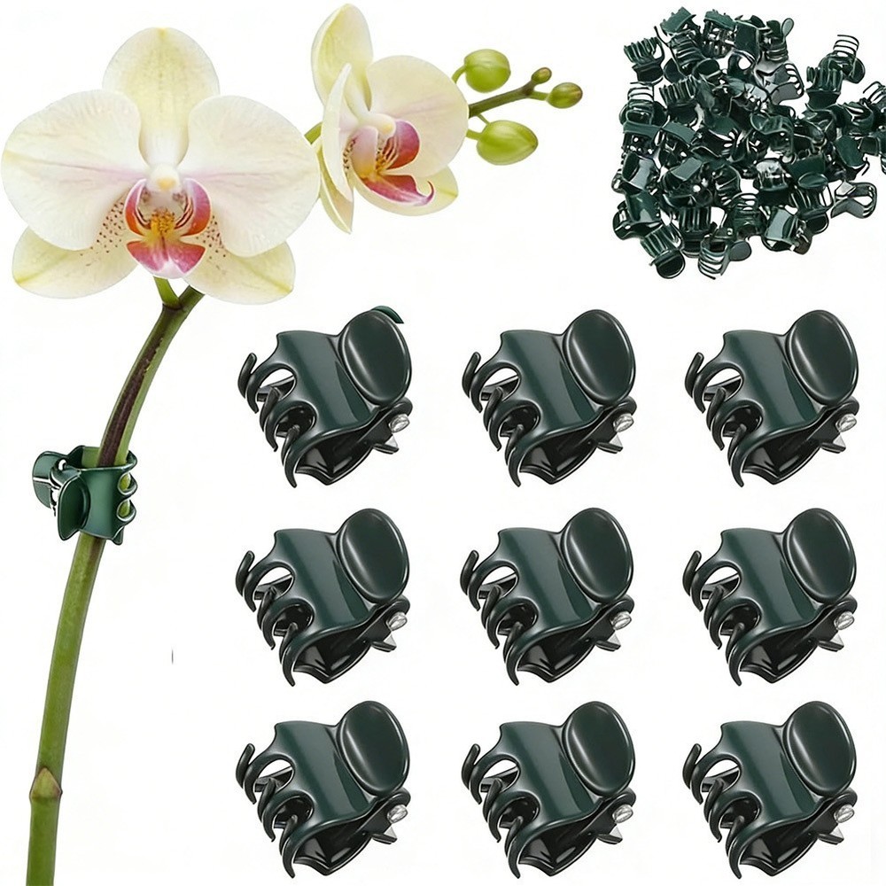 Plastic For Orchid Clips 20 Pack for Climbing Plants Support with 2 cm Max Open