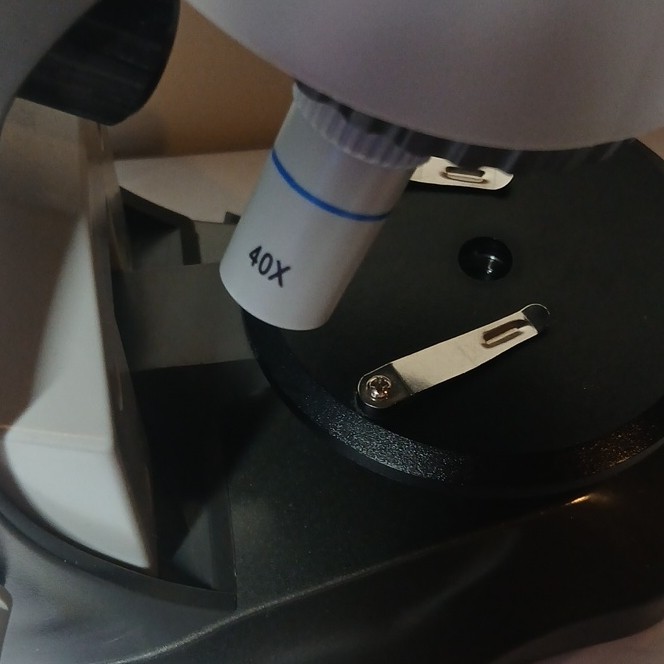 Edu-Science WF20X 40X Microscope with Prepared Slides Educational Science Set