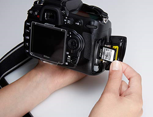 16GB High Performance Class 10 U1 SDHC Flash Memory Card +MINI TRIPOD