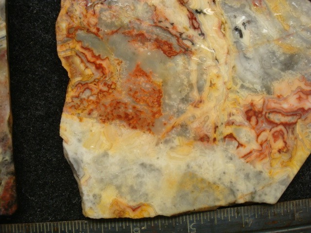 australlian crazy lace 2 slabs