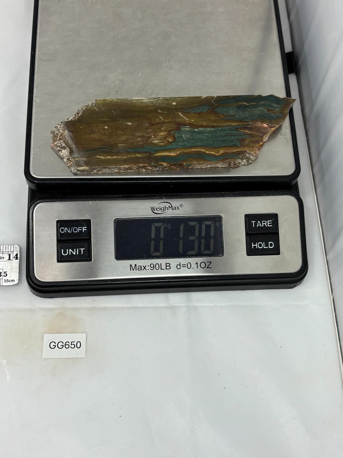 Gary Green Caldera Freedom Jasper Slab Cabbing Lapidary Combo Ship Avail