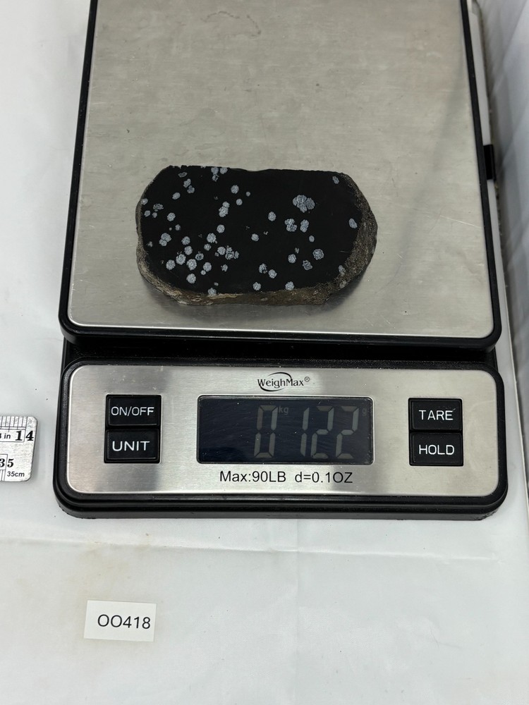 Snowflake Obsidian Slab Lapidary Cabbing Knapping Combo ship avail