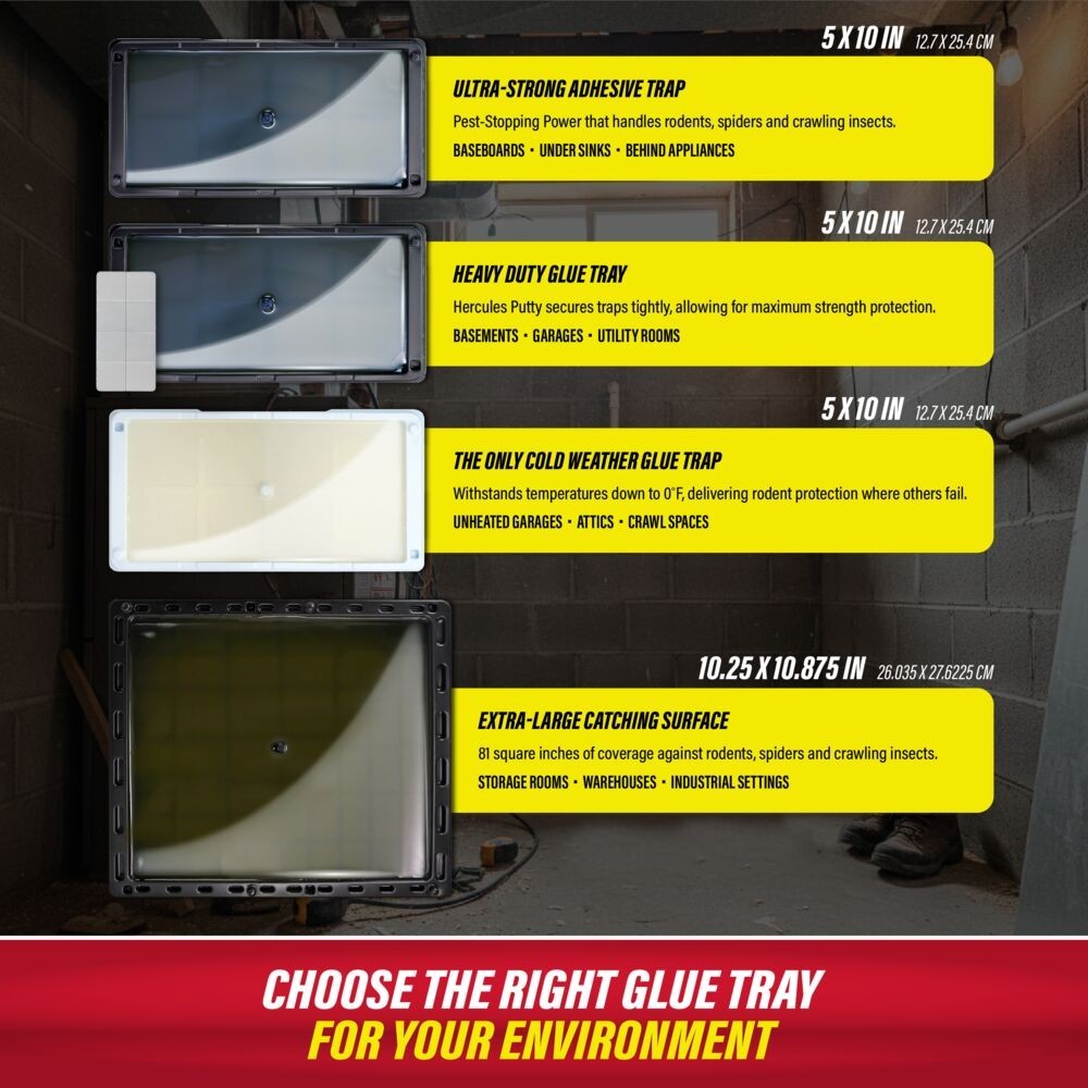 Catchmaster Rat, Mouse & Insect Glue Traps