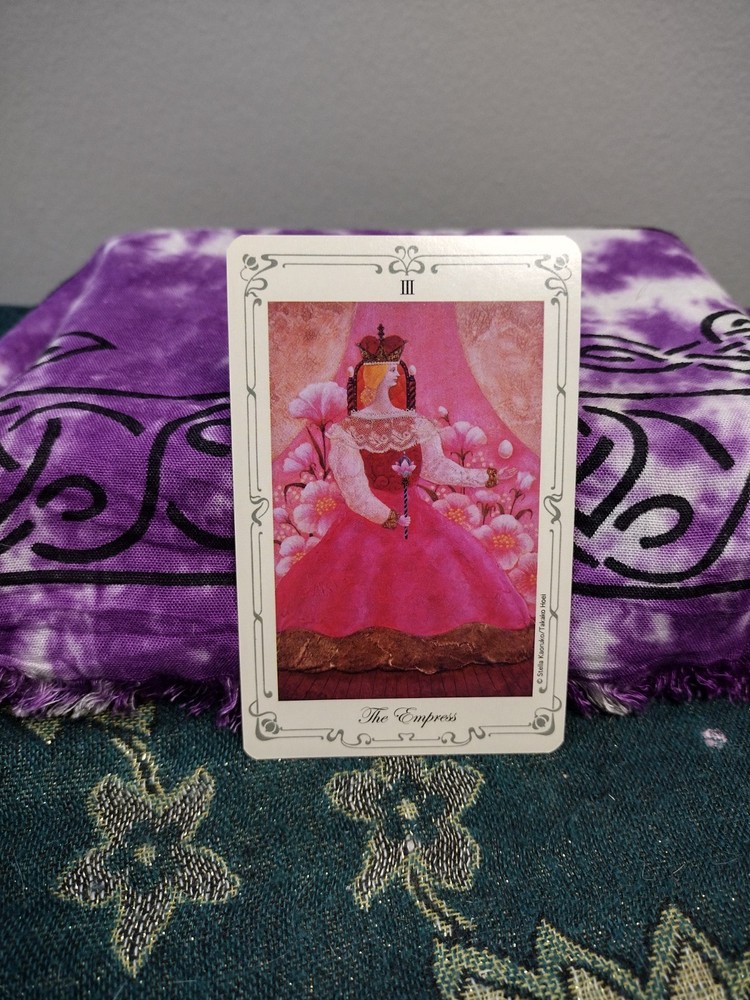 Stella's Tarot 2008 AGM