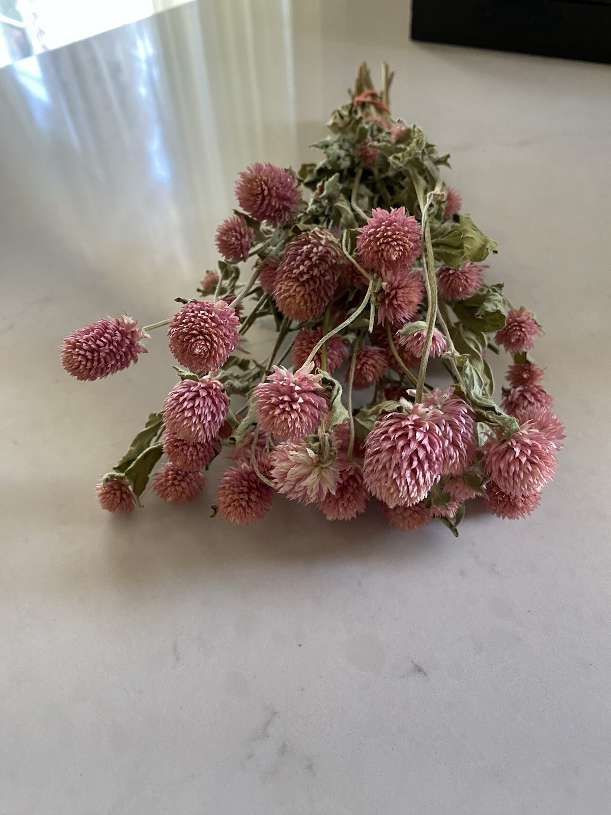PINK Dried GLOBE AMARANTH Bunch BOUQUET Bundle DRIED FLOWERS Auc#2