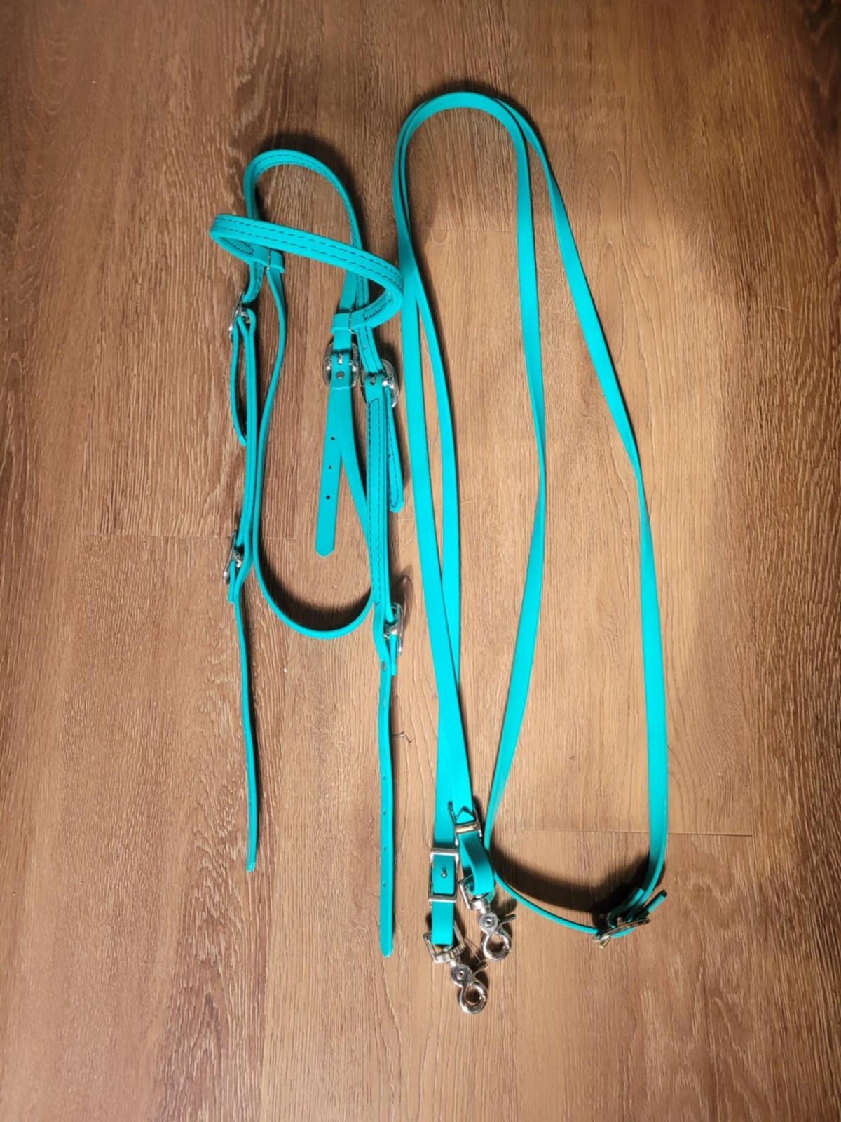 Two Horse Tack Teal Biothane Bridle and Snap Reins