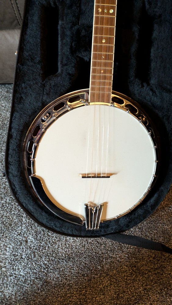 5 string bluegrass banjo