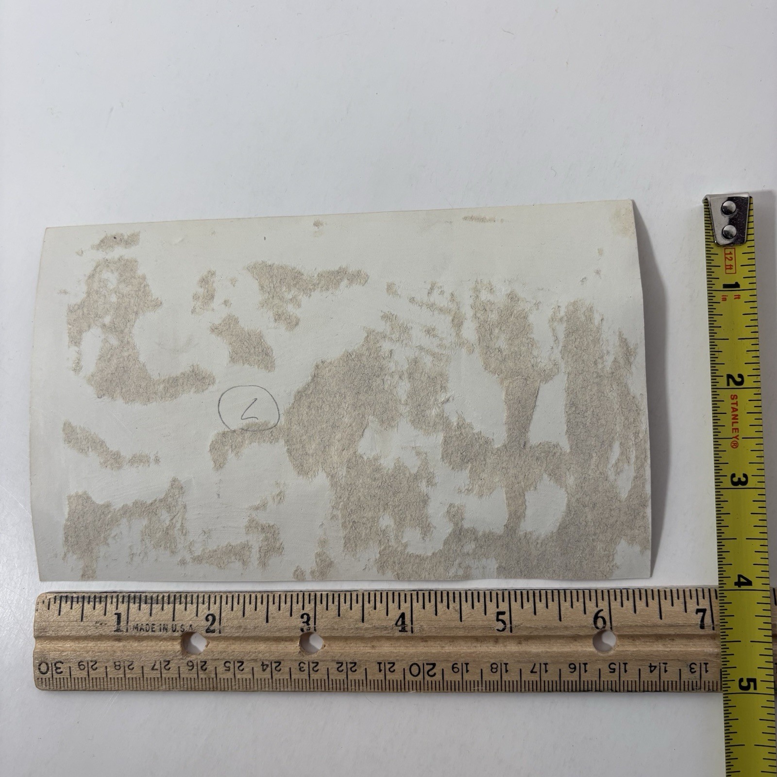 Antique 1919 WWI Era Photo US Soldiers Army Camp Flag Double Rope Original Odd