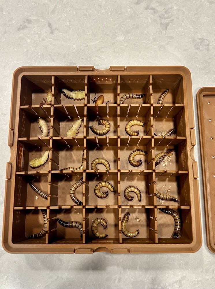 Superworm Pupation Station (25 Slots) Elevate Your Bug-breeding Setup!