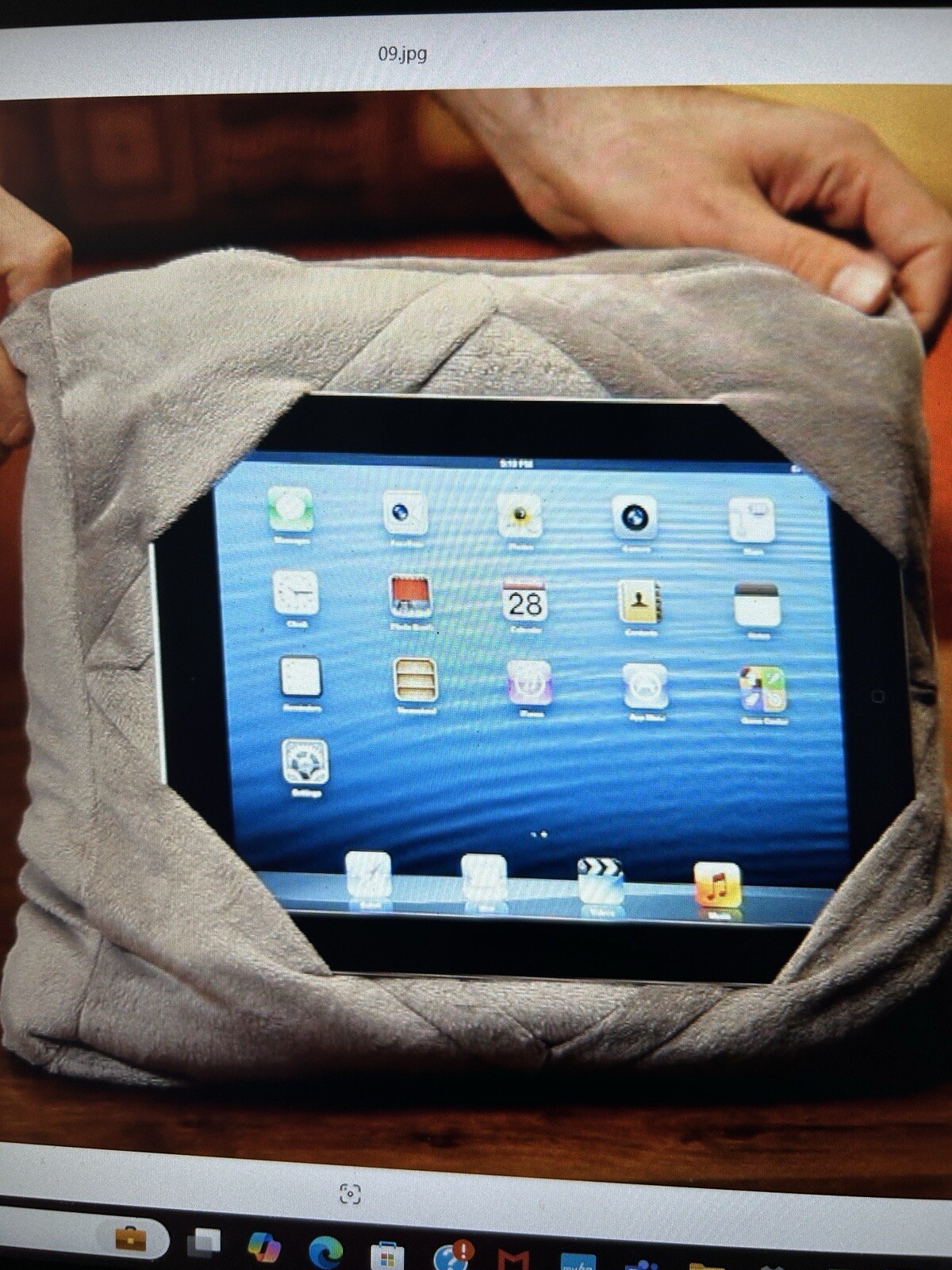 Travel Neck Pillow GoGo -As Seen On TV- GoGoTablet Holder Pillow, Color Choices