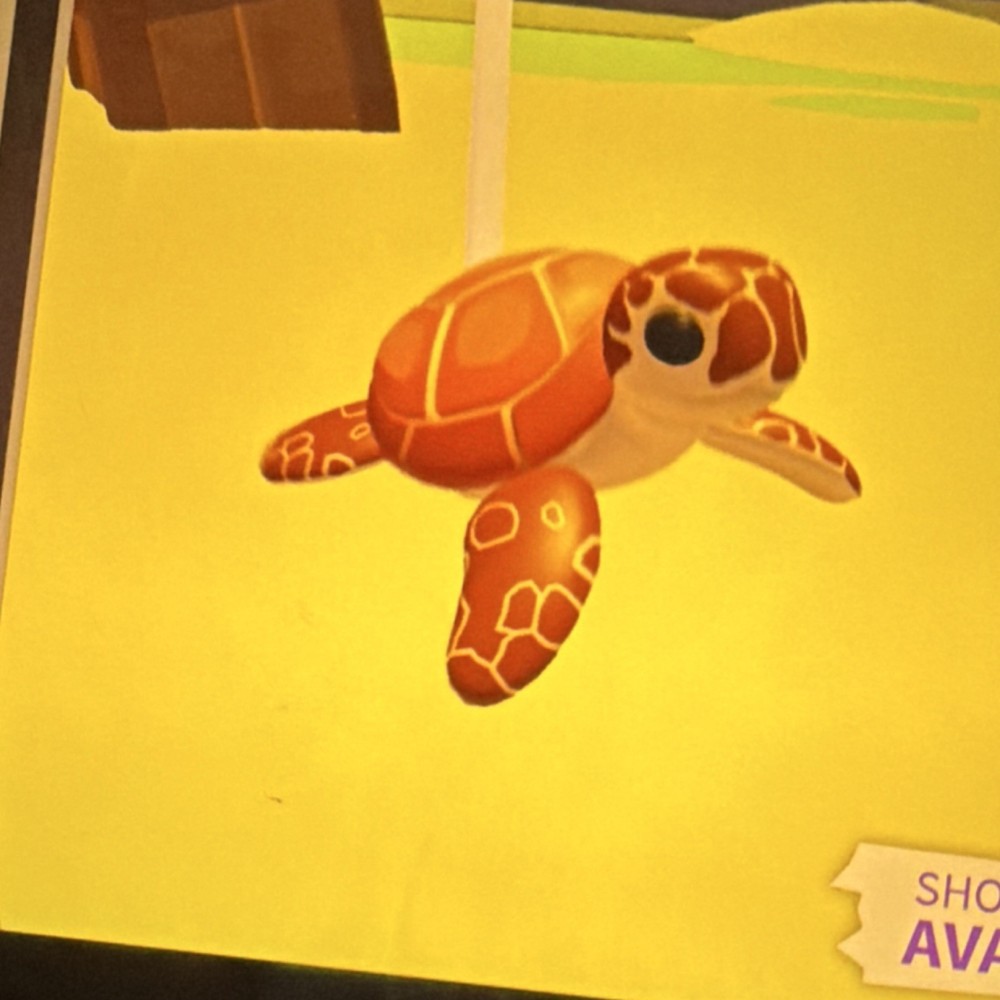 Adopt Me! New Sea Turtle