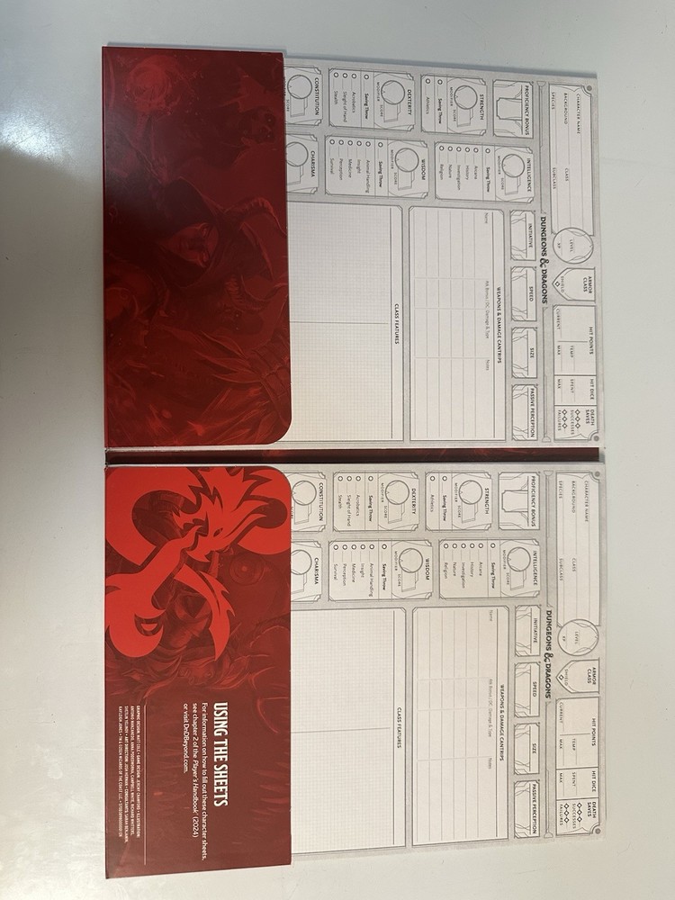 Folder With 40 Blank D&D Character Sheets