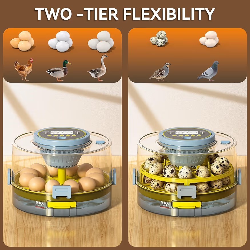 20 Egg Incubator with Auto Rotation, Temperature & Humidity Control