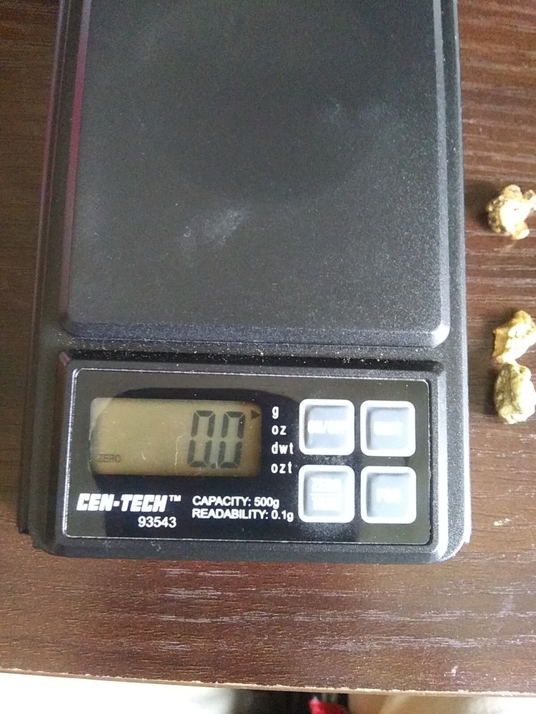 9.0g Gold - 3 Nuggets
