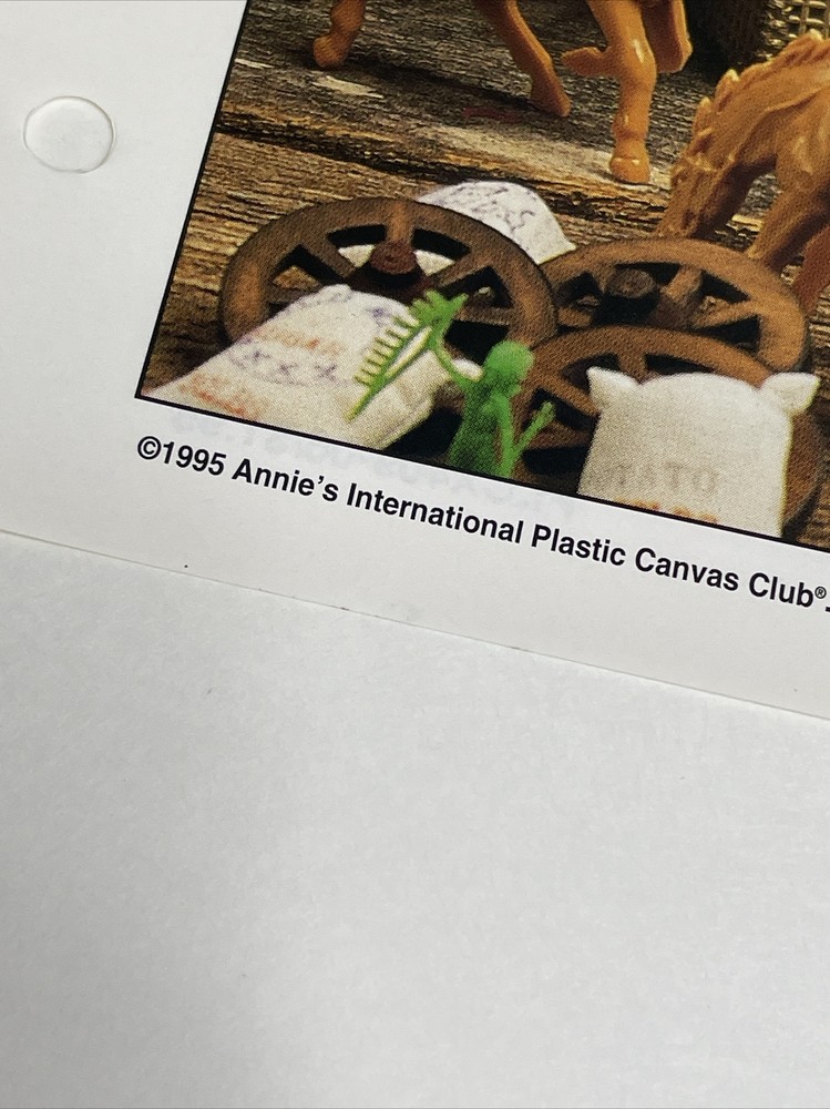 Lone Star Totebag Annie's Attic Plastic Canvas Pattern