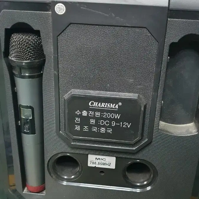 Charisma Portable Karaoke Amplifier with Wireless Microphone