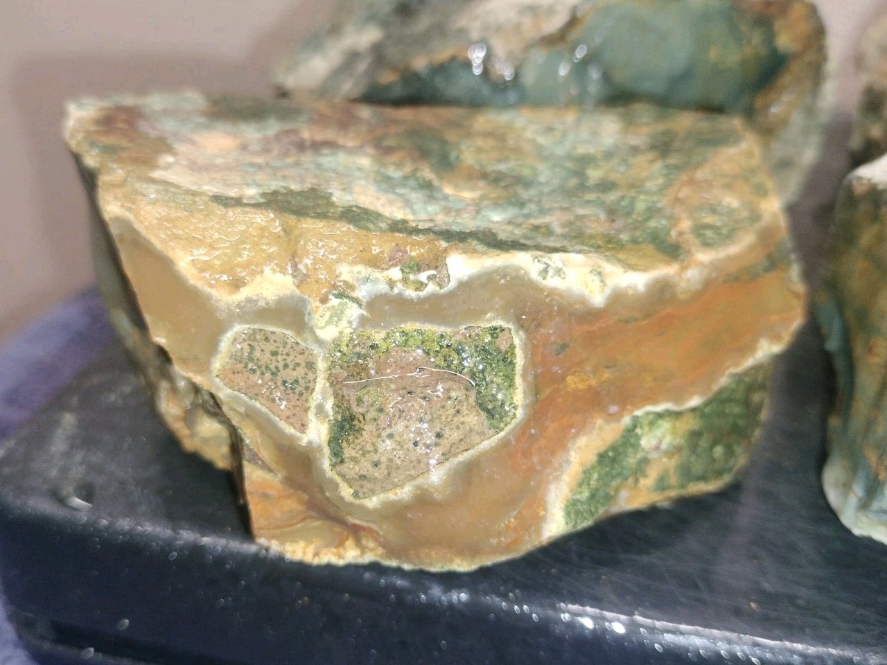 8.7LB ORBS Blue Mountain Picture Jasper Rough 6pc Lot #27