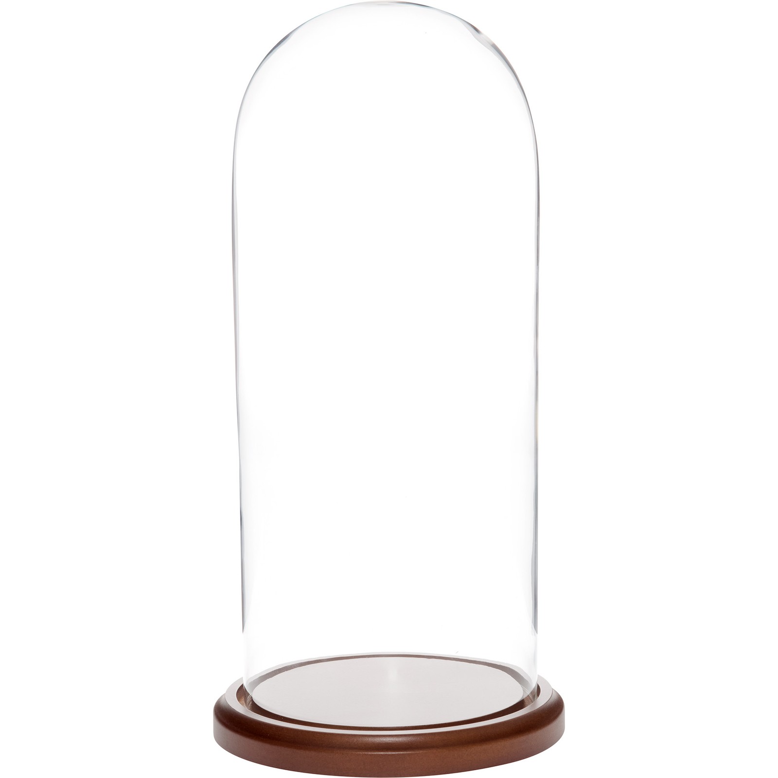 Plymor 5.5 inch x 13 inch Glass Display Dome Cloche (Dark Wood Base)