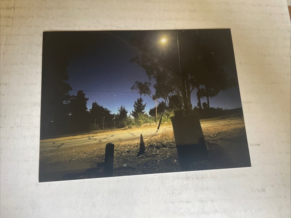 sticker - “moonlight”
