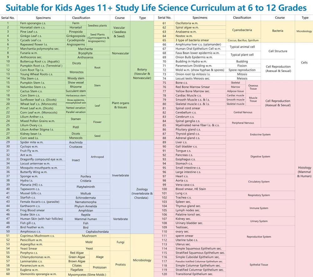120 Microscope Slides with Specimens Set, Lab-Grade Prepared Microscope Slide...