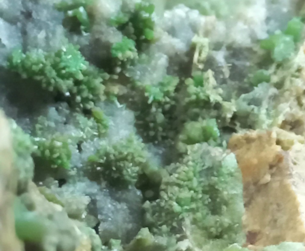Pyromorphite Sardinia