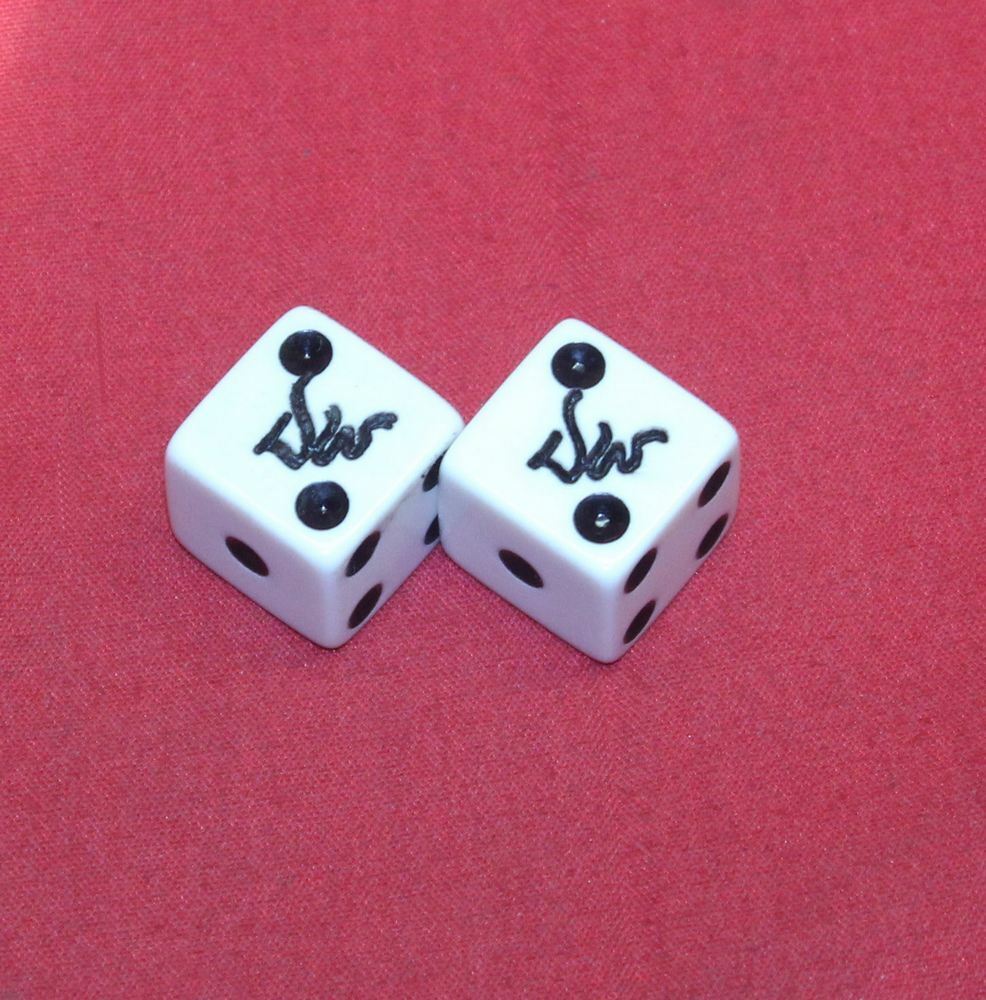 Dan Wesson Set of Dice