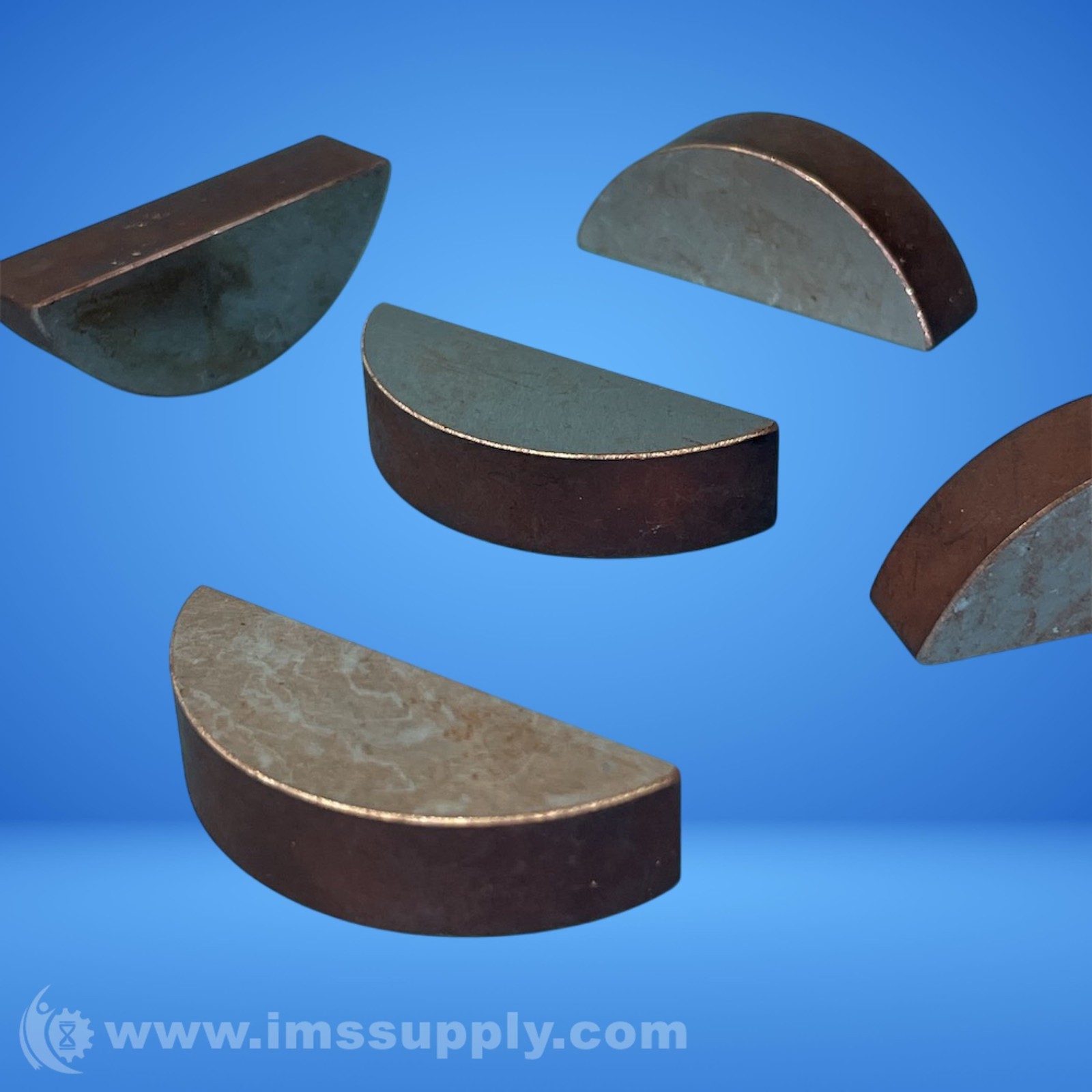 COIN Copper Planchets FNIP