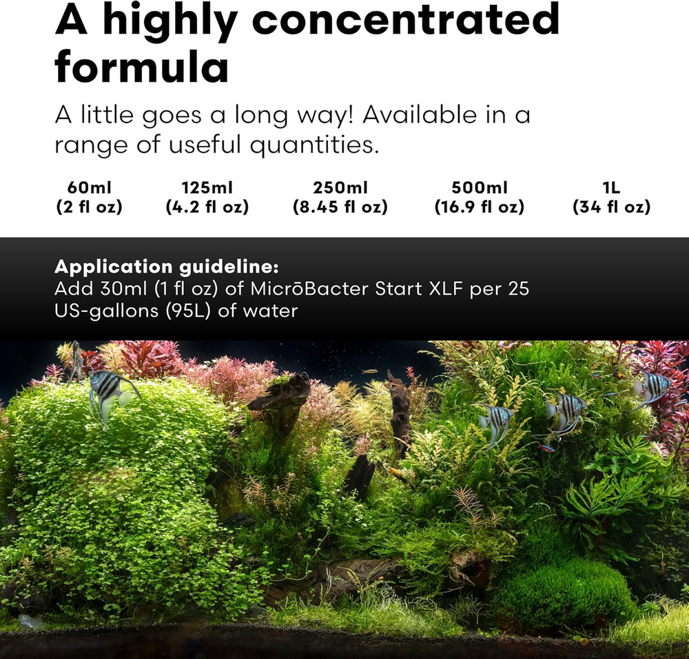 Brightwell Aquatics Microbacter Start XLF - Concentrated Freshwater Nitrifying B