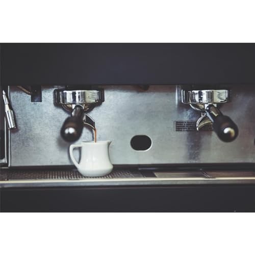 Gaggia Decalcifier Descaler Solution 250ml (2 Bottles)