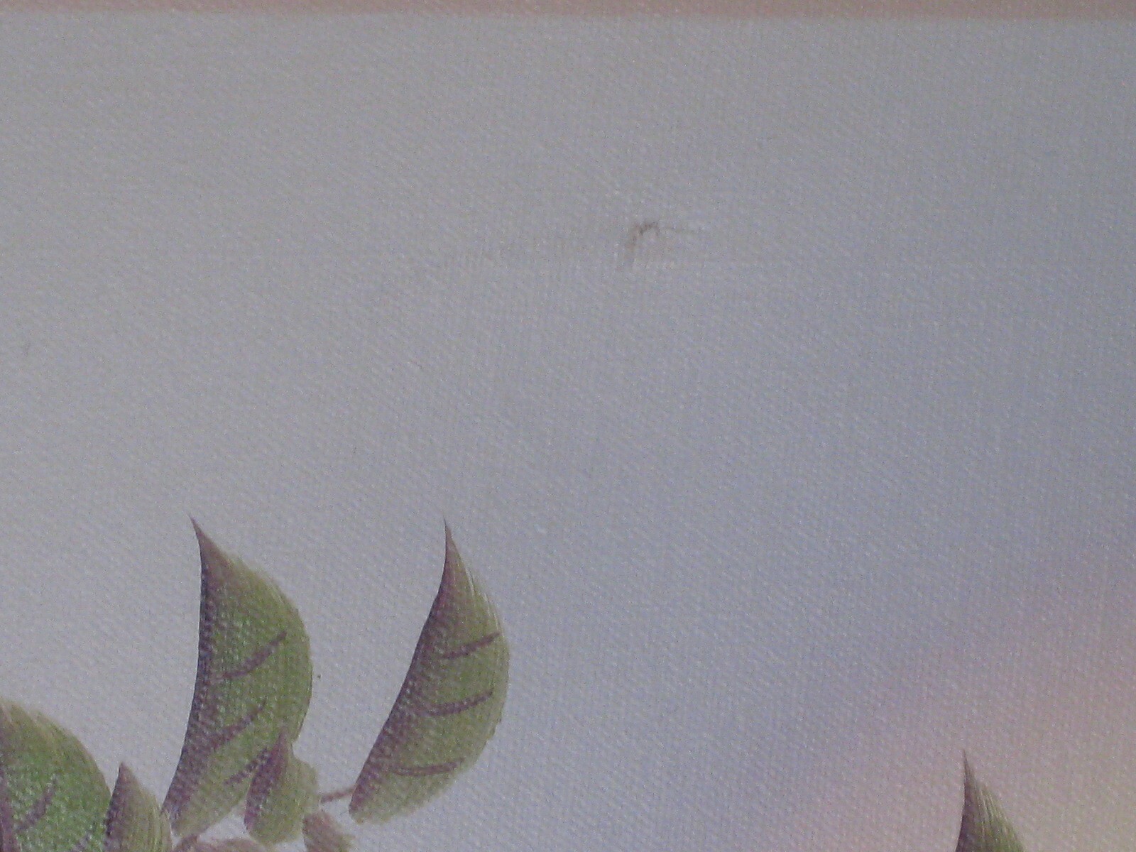 vintage Asian painting Chinese ? birds with flowers 20" x 24" original art *NOTE