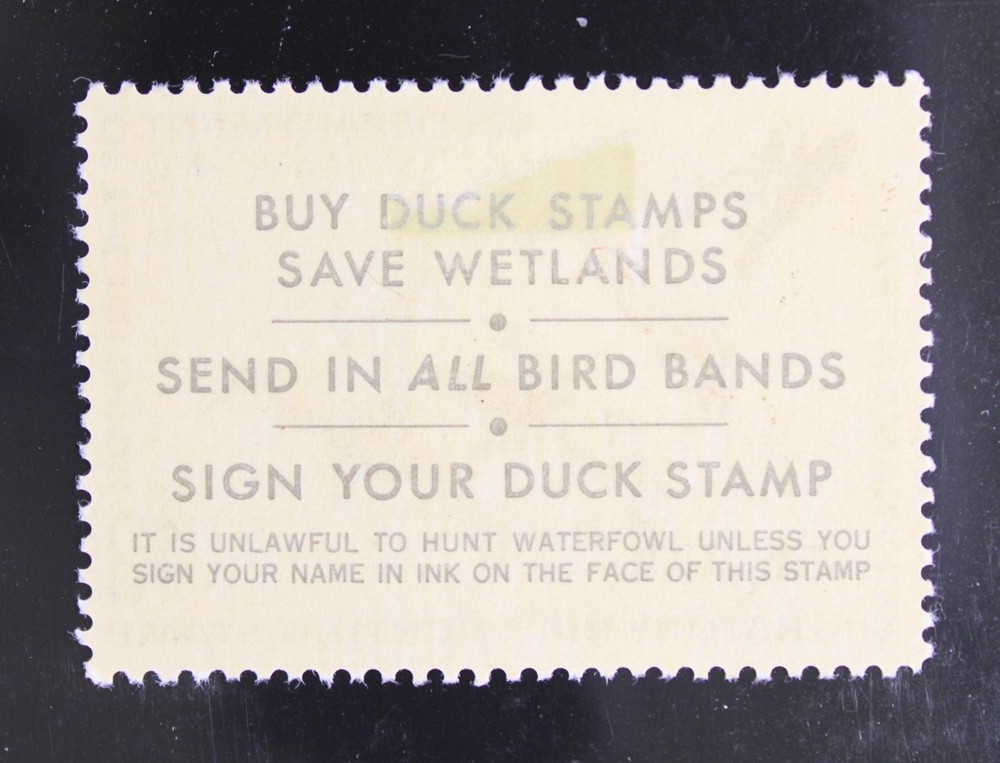 US SC# RW38 Mint Hinged / Small Rem - S39421