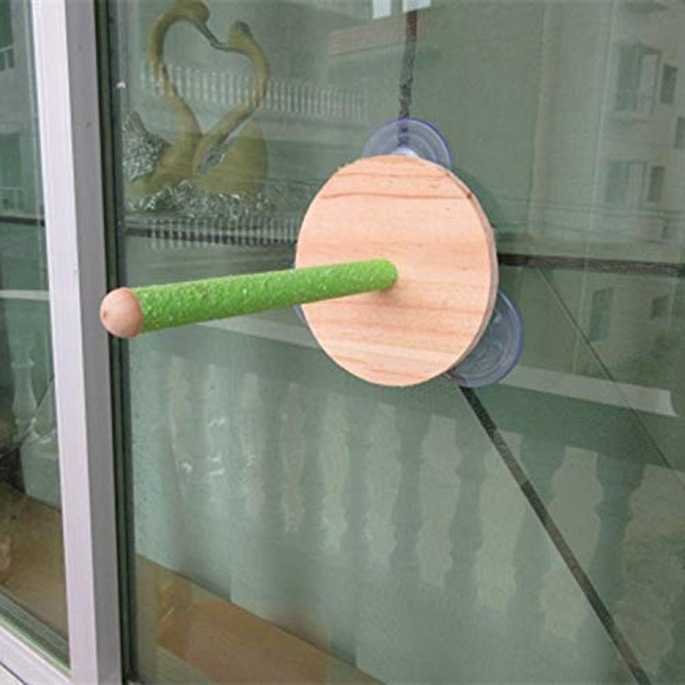 Bird Shower Perch Stand Parrot Bath Suction Cup Window Wall Platform Frame To...