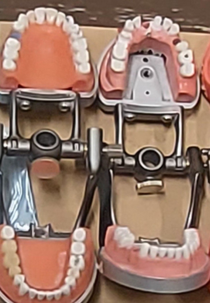 Dental Typodont & Typodont Teeth Training Models with Accessories