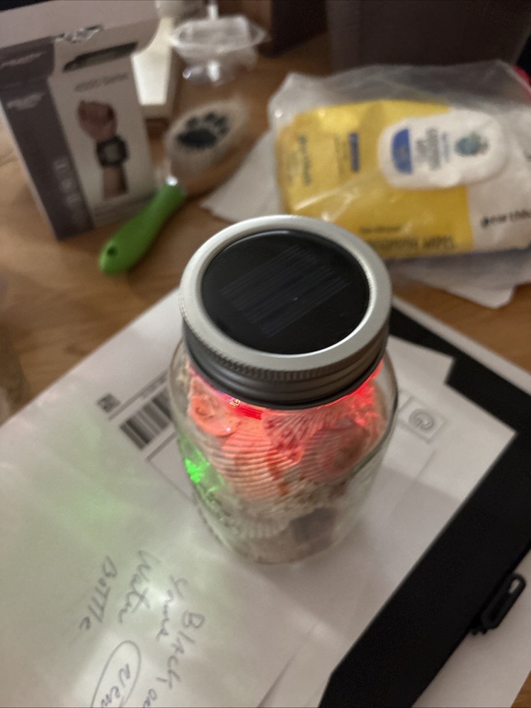 Shells In Lighted Jar