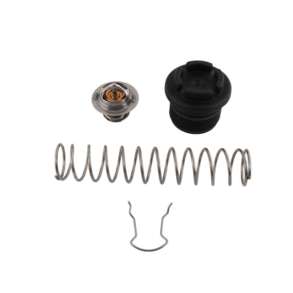 Thermal Regulator Kit For Pentair Sta-Rite Max-E-Therm Heaters 77707-0010